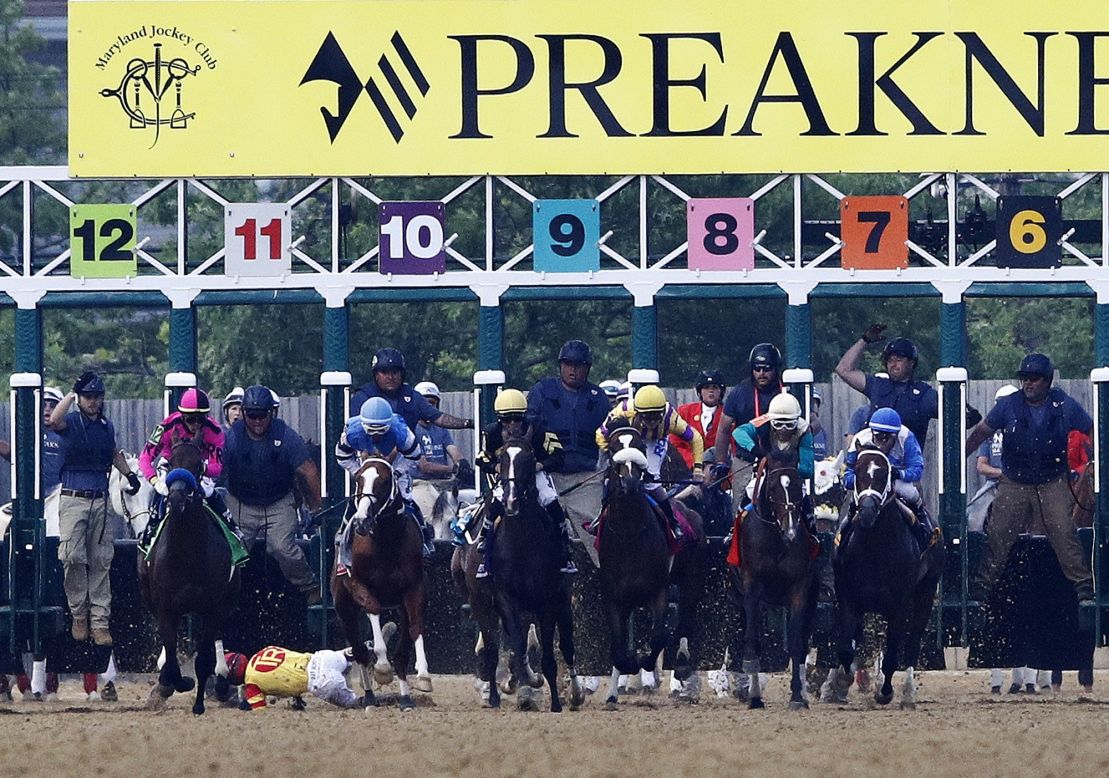 John Velazquez tumbles to the turf after falling off Bodexpress at the starting gate during the 144th Preakness Stakes horse race at Pimlico on Saturday.