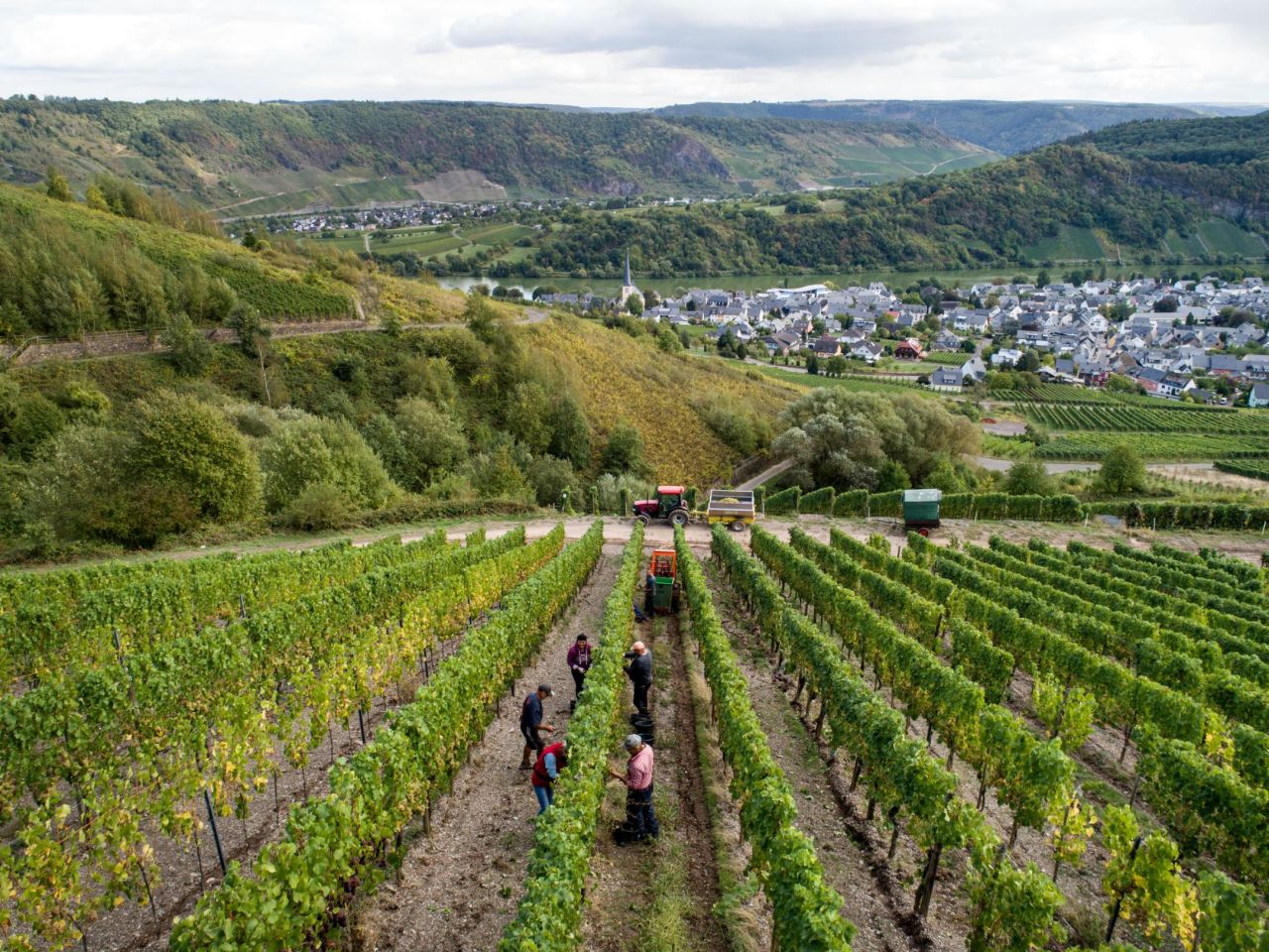 <strong>The Mosel Valley:</strong> The Mosel Valley boasts some of the most scenic attractions and finest vineyards in Germany. A few standouts in this lush region include the medieval Eltz Castle, the vertiginous town of Cochem and Trier, the oldest city in the country.