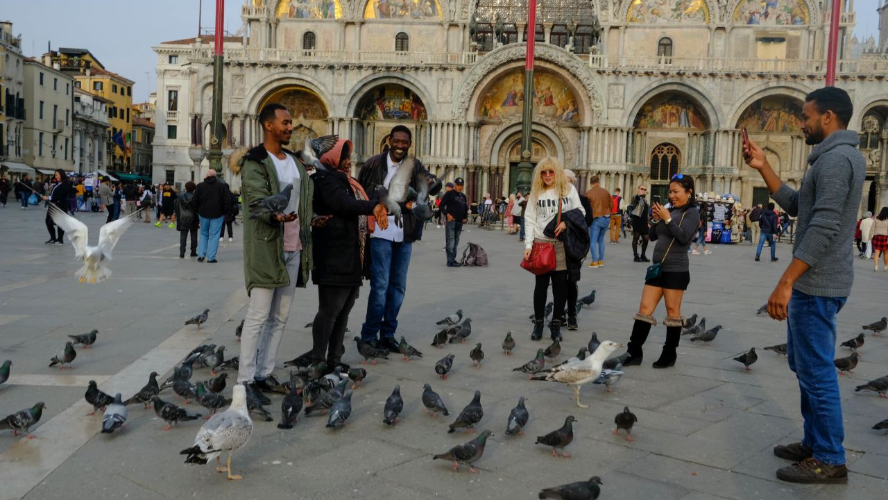 Tourists feed pigeons at Piazza San Marco, although the practice is restricted by the authorities. 