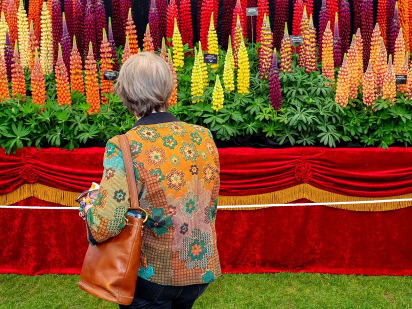 A visitor views a display at the Chelsea Flower Show.