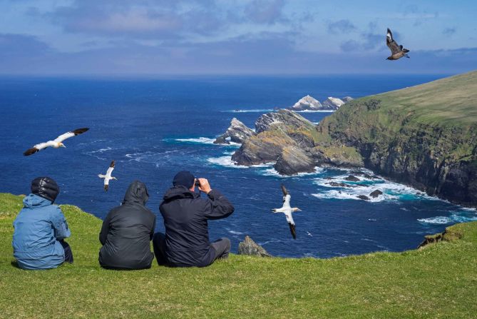 <strong>6. Shetland, Scotland</strong>: Visitors to these remote islands can immerse themselves in nature. The Shetland Islands are known for their incredible sea birds -- including gannets and great skua, pictured here.