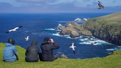 Shetland Isles, UK - May 2018. Birdwatchers watching gannets and great skua soaring past sea cliffs and stacks at seabird colony at Hermaness, Unst, Shetland Islands, Scotland, UK