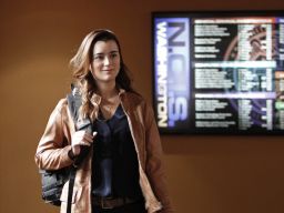 Cote de Pablo, seen here in a 2013 episode of "NCIS," made a big return to the show in the season finale. 