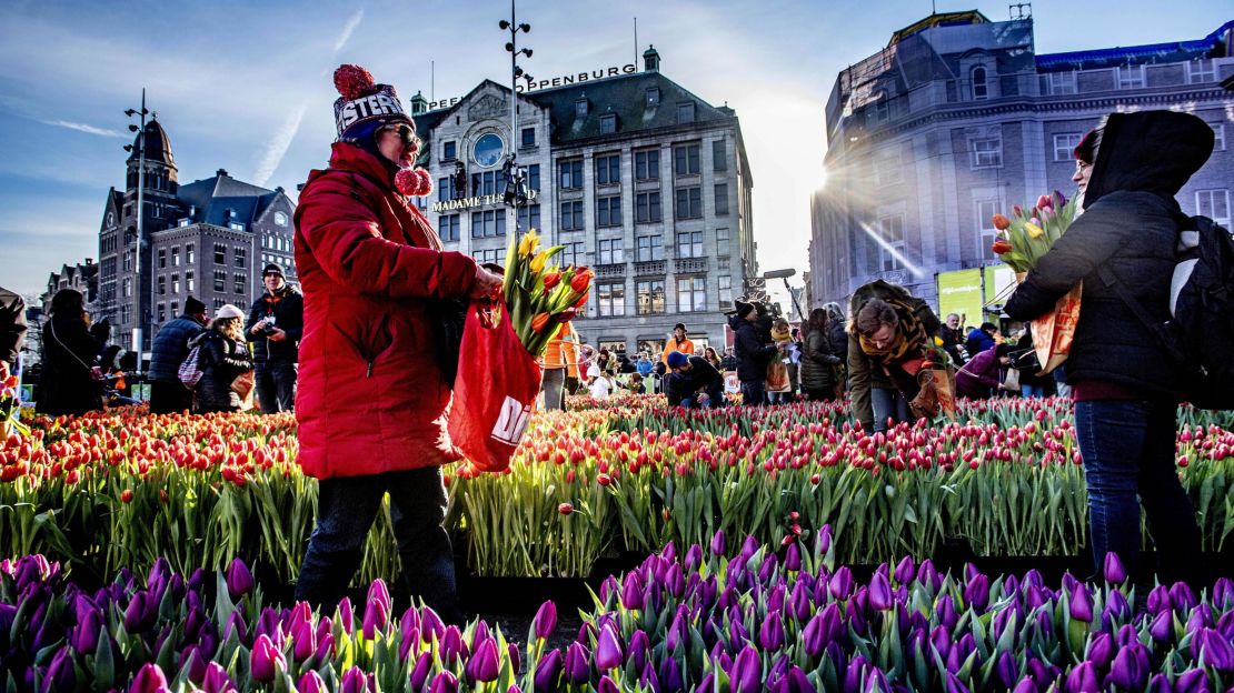 The Netherlands has issued a "do's and don'ts" guide to tulip season. 