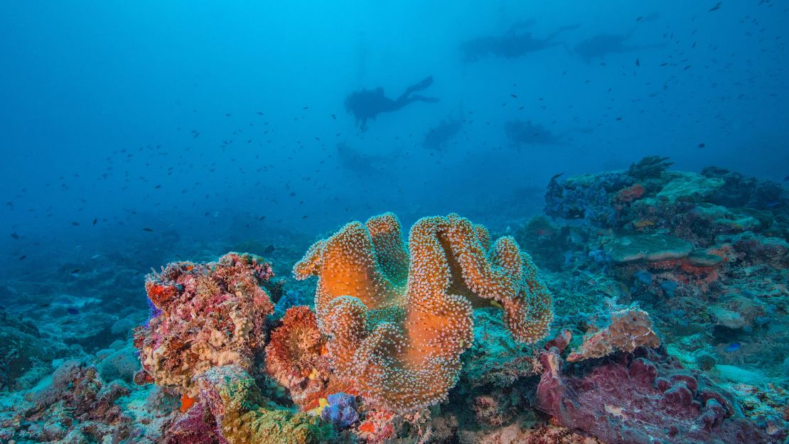 Non-divers will be able to experience the Great Barrier Reef through Uber's scUber.