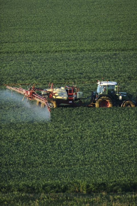 Most fertilizers -- including manure -- release nitrous oxide. Better known as "laughing gas," nitrous oxide is no joke when it comes to climate change. It's a greenhouse gas that can stay in the atmosphere for more than 100 years, and is up to <a href="https://www.epa.gov/ghgemissions/overview-greenhouse-gases#nitrous-oxide" target="_blank" target="_blank">300 times more powerful </a>than carbon dioxide. It accounts for around 6% of our total greenhouse gas emissions. <br /><br />However, without nitrogen fertilizers, crops like wheat would need more land to grow on, and that would produce even greater emissions, according to <a href="https://escholarship.org/uc/item/19f2h0p9" target="_blank" target="_blank">one study</a> published by the University of California. 