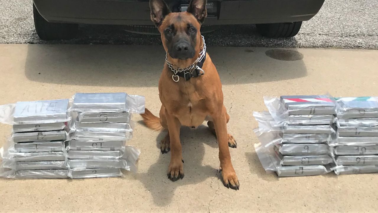 Spyke helped track down a large amount of cocaine during a traffic stop in Texas. 