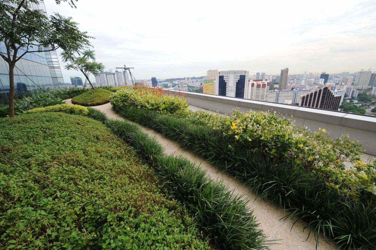 Singapore was named the "greenest city in Asia" in 2018 in the Green City Index. This apartment block features a rooftop garden for its residents -- an example of efforts to incorporate nature into urban life. 