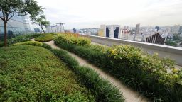 Singapore has been named the "greenest city in Asia" by Green City Index. This apartment block features a rooftop garden for its residents -- an example of Singapore's efforts to incorporate nature into urban life. 