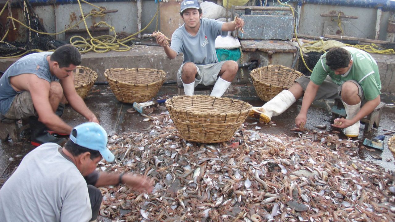 Fishermen sort through the haul on a Mexican trawler.