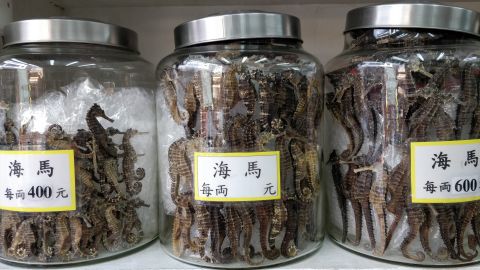 Seahorses on sale in Hong Kong in 2019, for use in traditional Chinese medicine.