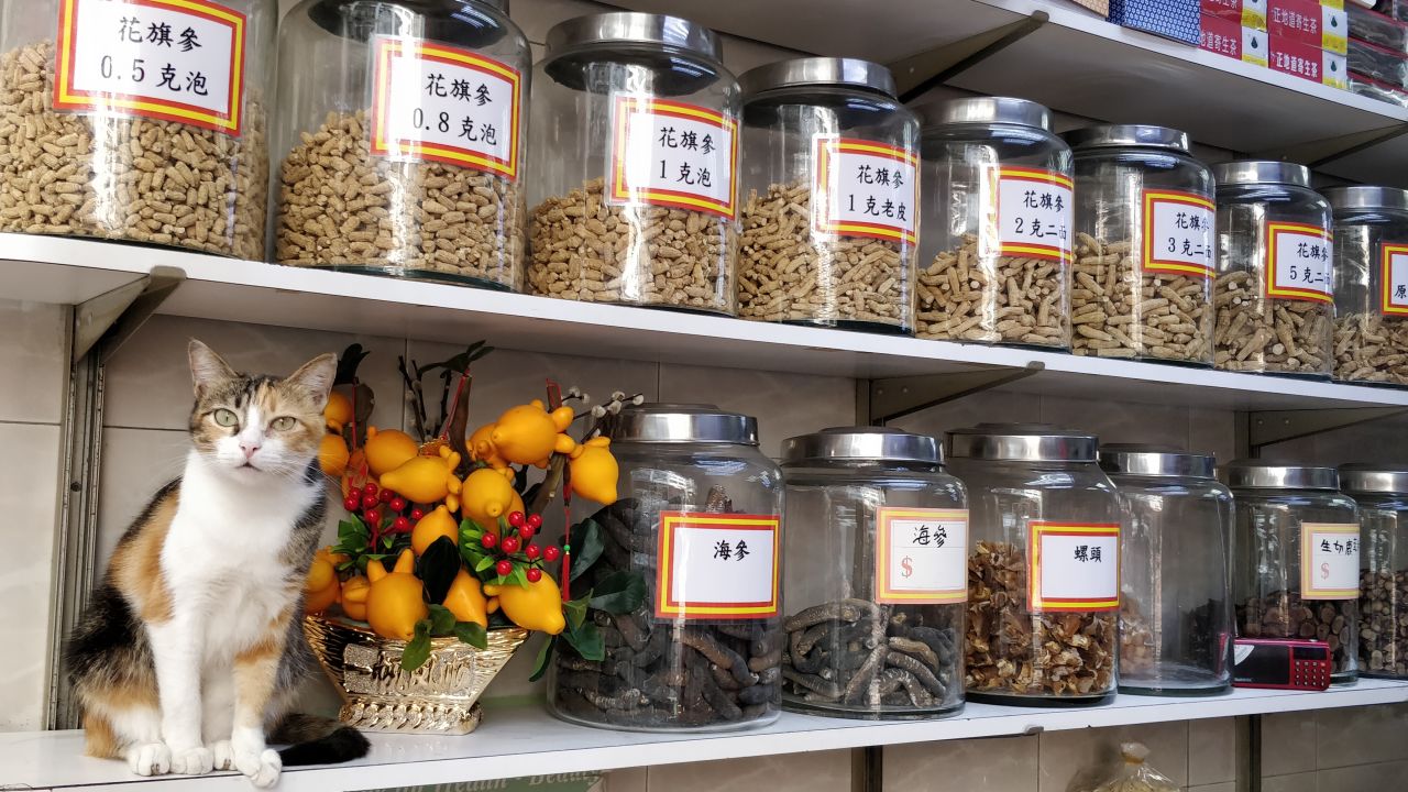 A herbal medicine shop in Sheung Wan. The cat is not for sale.