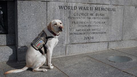 Sully at the National World War II Memorial, dedicated in 2004 by President George W. Bush.