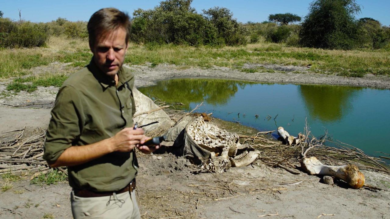 Mike Chase of Elephants Without Borders investigates an elephant carcass.