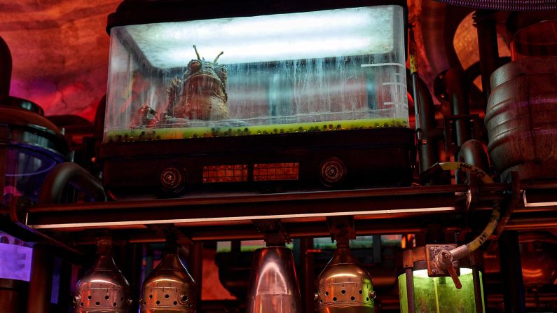 One of the creatures found above the bar in Oga's Cantina.