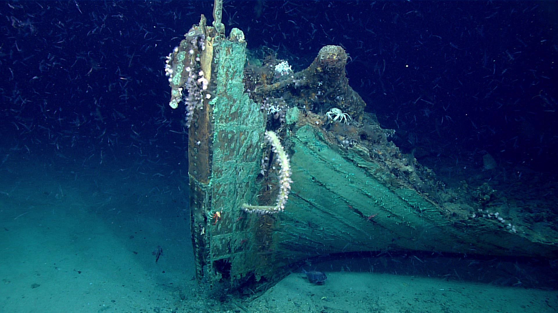 Has mystery of shipwreck exposed by erosion been solved?