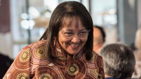 Patricia de Lille, former Mayor of Cape Town has been appointed as the country's minister of public works. 