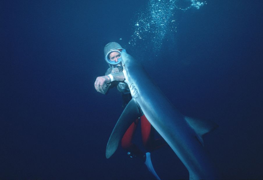 In 1979, Ron Taylor had a suit of mail made, which Valerie successfully tested against sharks in the wild.