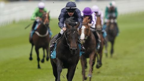 Sir Dragonet is one of the favourites for this year's Derby.