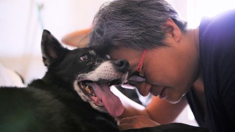 Noah's Animal House has cared for over 1,400 pets since it opened in '07.