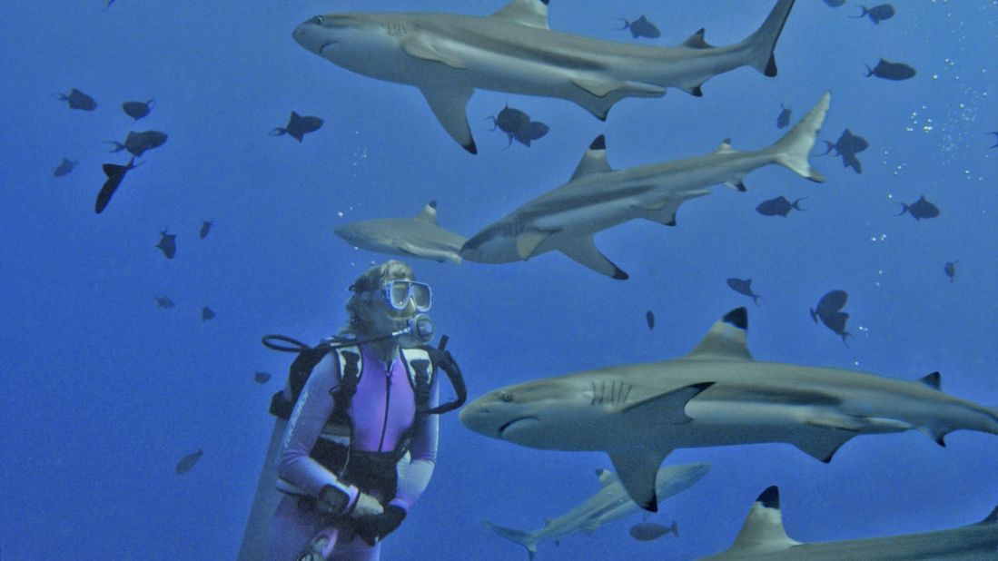 Valerie Taylor has been bitten twice and nipped once by sharks in 40 years of diving with them -- without permanent injury. 