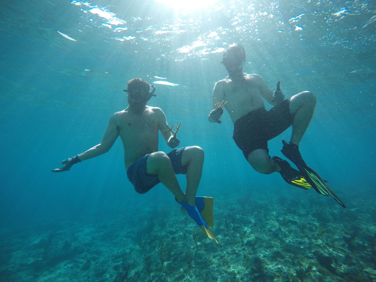 Sam Teicher and Gator Halpern, Coral Vita's founders, hope to help reefs worldwide adapt to the impacts of climate change. 