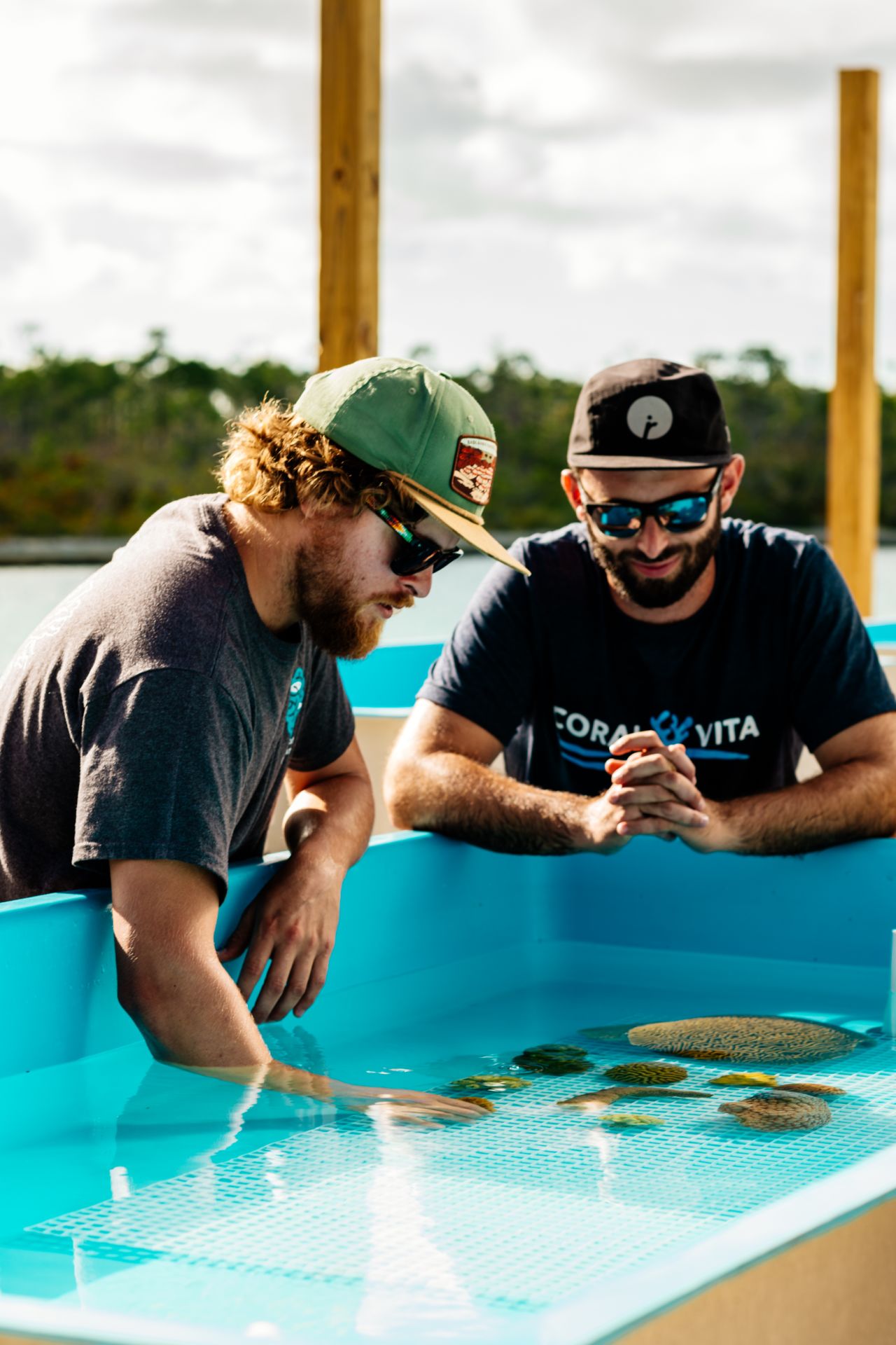 Gator Halpern and Sam Teicher founded start-up Coral Vita with the aim of reviving reefs worldwide.