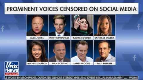 fox laura ingraham paul nehlen