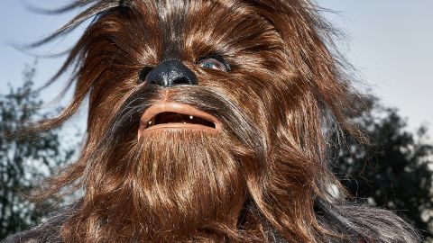 Chewbacca can be found at Galaxy's Edge.