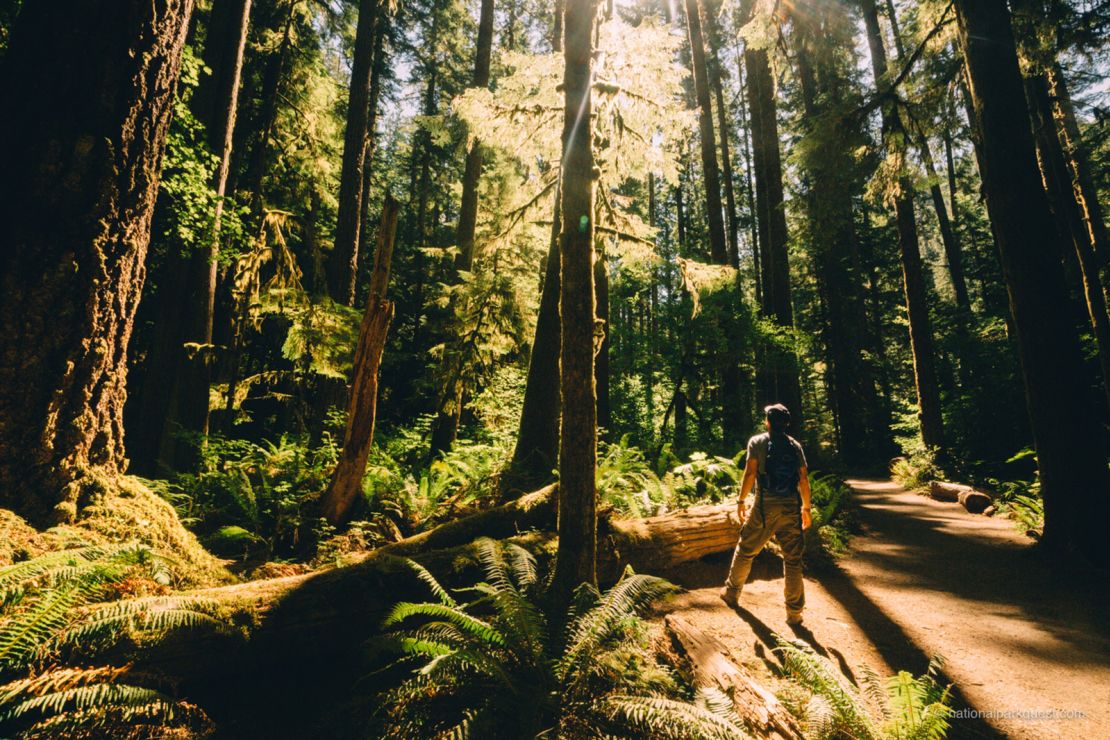 Quintero met his fiancée at Olympic National Park in Washington state.