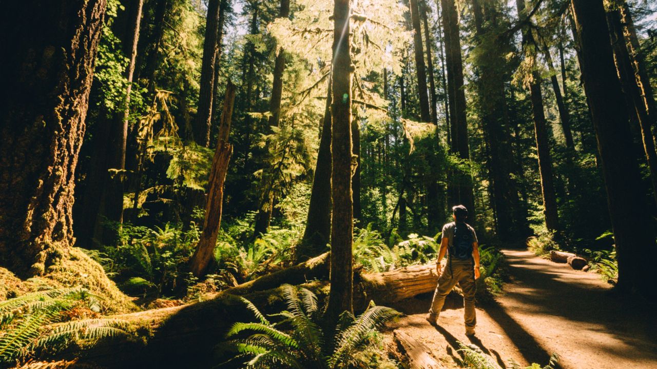 Quintero met his fiancée at Olympic National Park in Washington state.