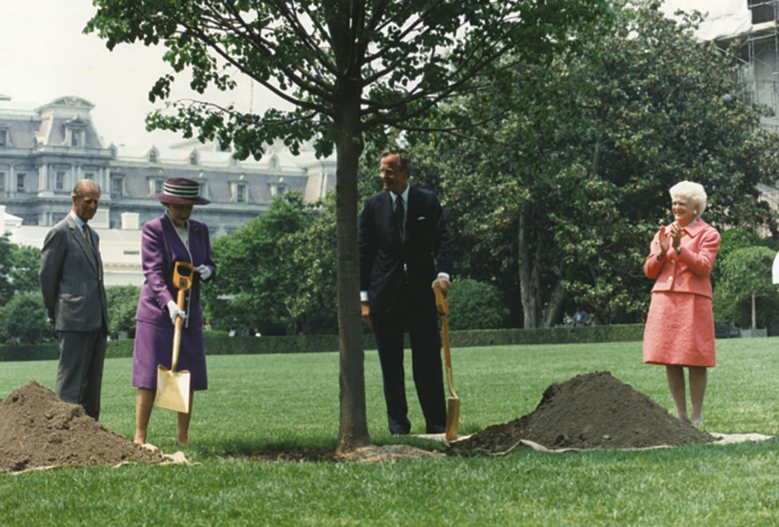 queen elizabeth and the bushes tree