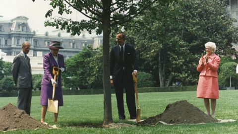 queen elizabeth and the bushes tree