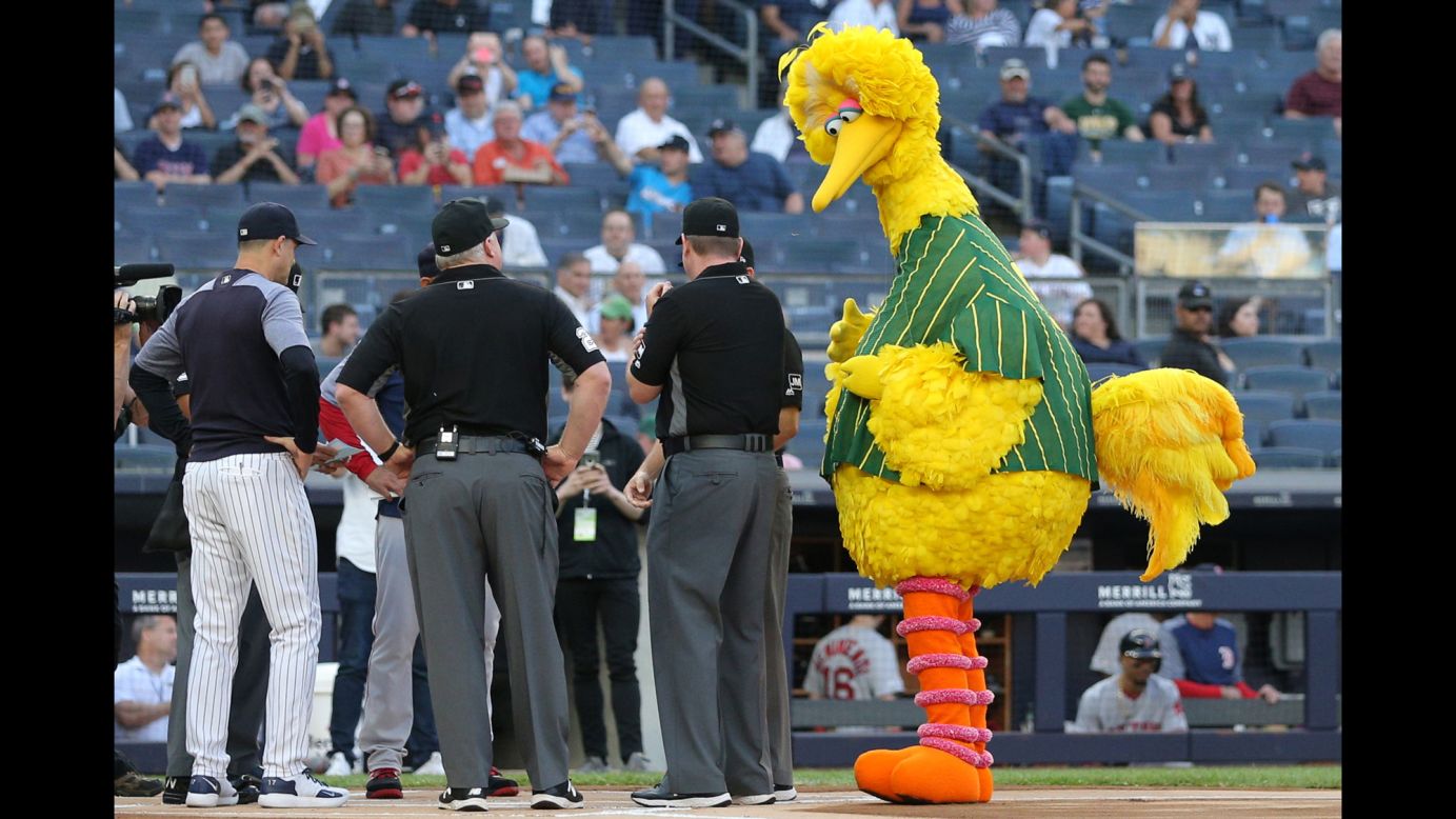 Sesame Street character Big Bird assists the umpires with the exchange of lineup cards prior to a game between the New York Yankees and the Boston Red Sox at Yankee Stadium on Friday, May 31.