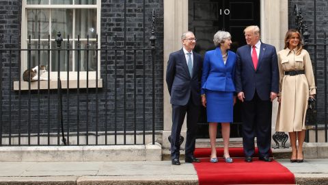 Trump Downing Street Larry the Cat