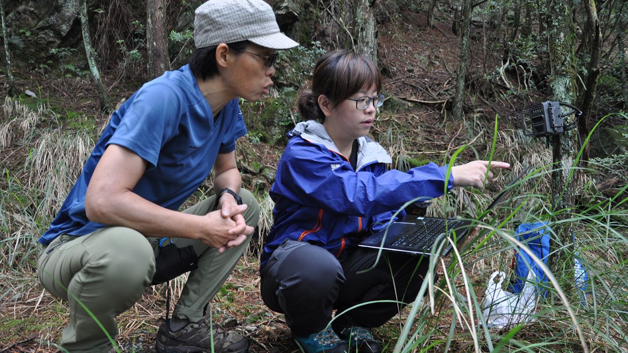 <strong>Bear tracking: </strong>Formosa bear expert Professor Mei-Hsiu Hwang and her assistant Wan-Ching Lin check camera traps high in the Taiwan mountains in May. "If we cannot protect them, I don't believe we can protect anything else," says Hwang. 