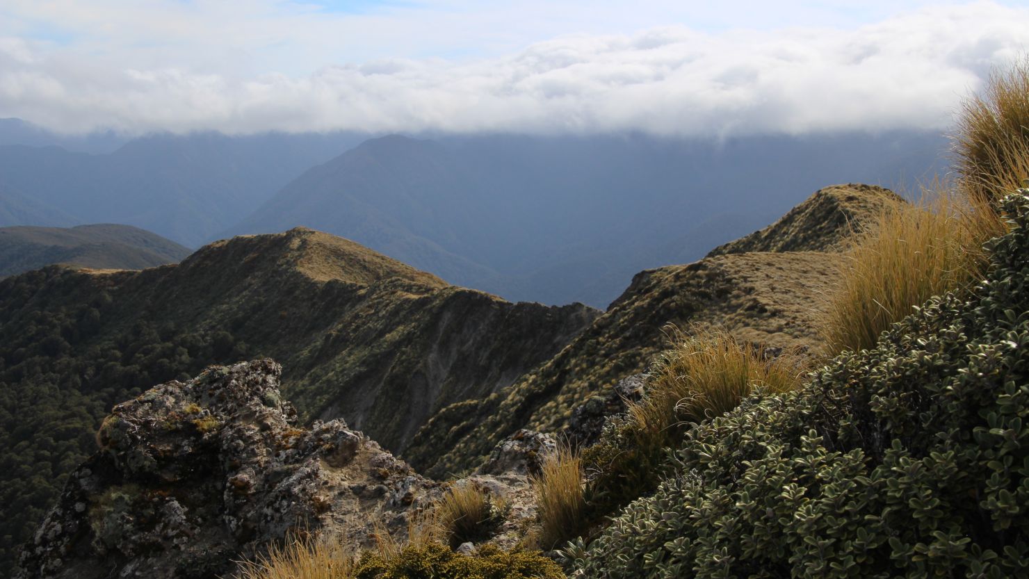 Tararua Ranges NZ RESTRICTED