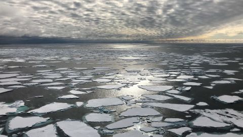 Ice floes are shown in the Fram Strait between Greenland & Svalbard, the main gateway through which sea ice leaves the Arctic Ocean. Sea ice in the Arctic has been declining dramatically as the region warms.
