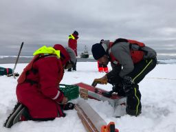 Measuring the thickness and density of a recently extracted ice core.