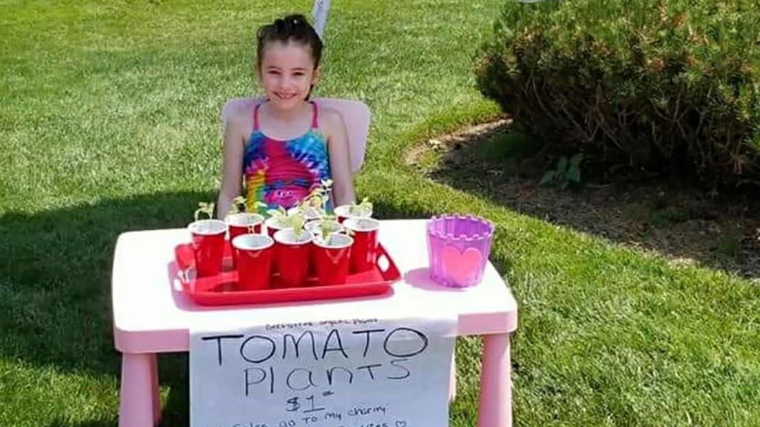 Alex Walker sells tomato plants she grew from seeds to pay for stuffed animals for children in need. 