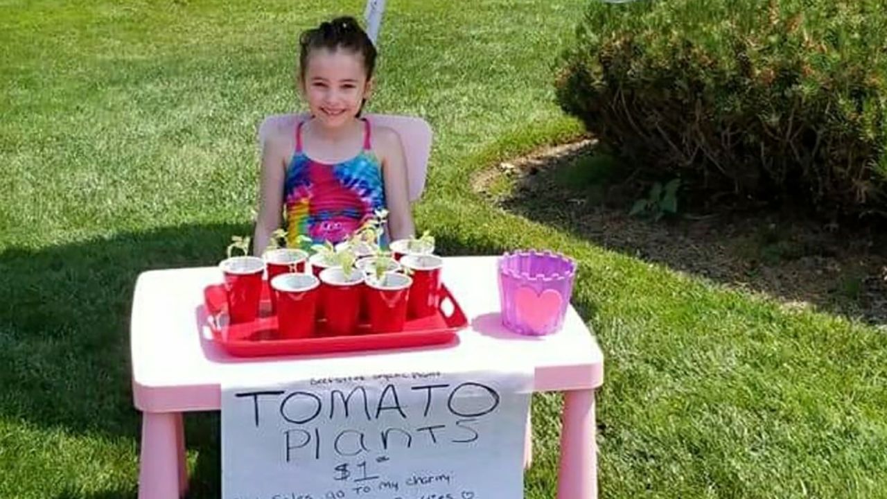 Alex Walker sells tomato plants she grew from seeds to pay for stuffed animals for children in need.
