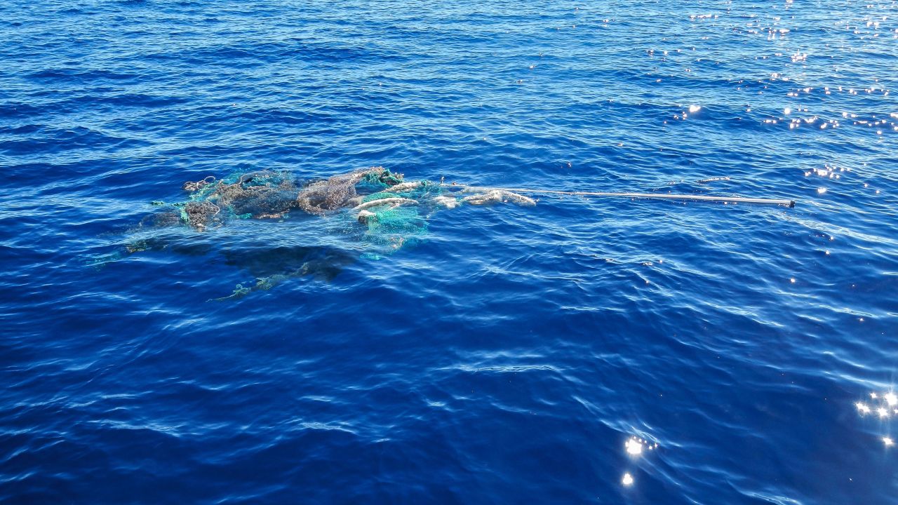 Discarded fishing gear floats in the Great Pacific Garbage Patch.