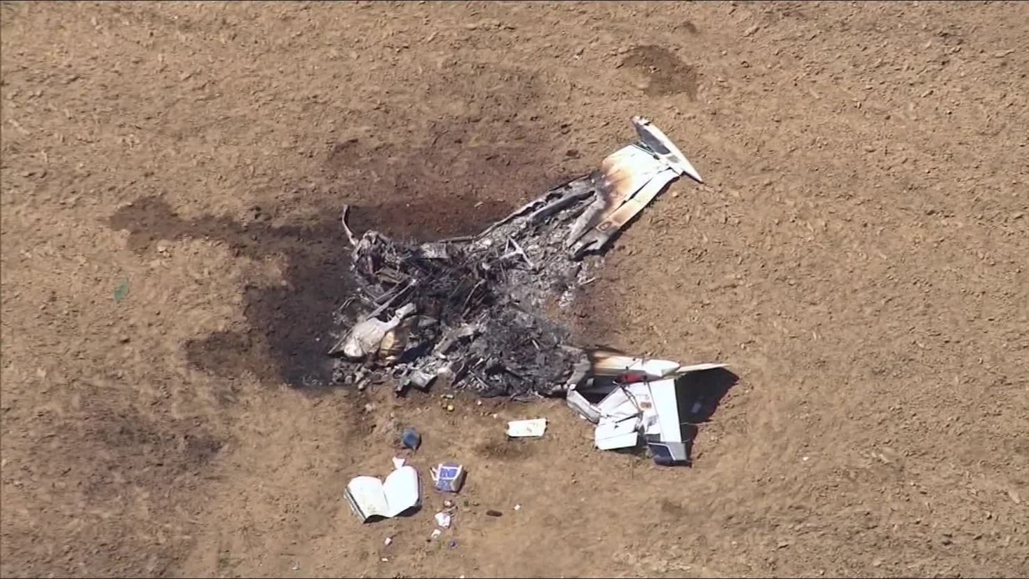 A dog escaped a fiery small plane crash that killed two people Saturday in Long Island. 