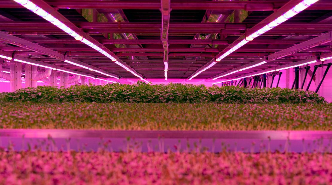 Ocado is getting into the vertical farm business.