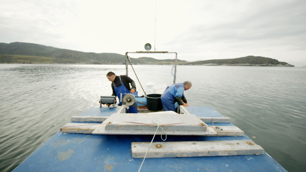 Greenland fishing 1