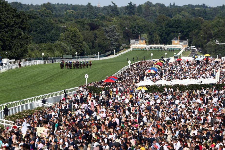 The racing is world class with the cream of Europe's equine superstars and top trainers and jockeys.