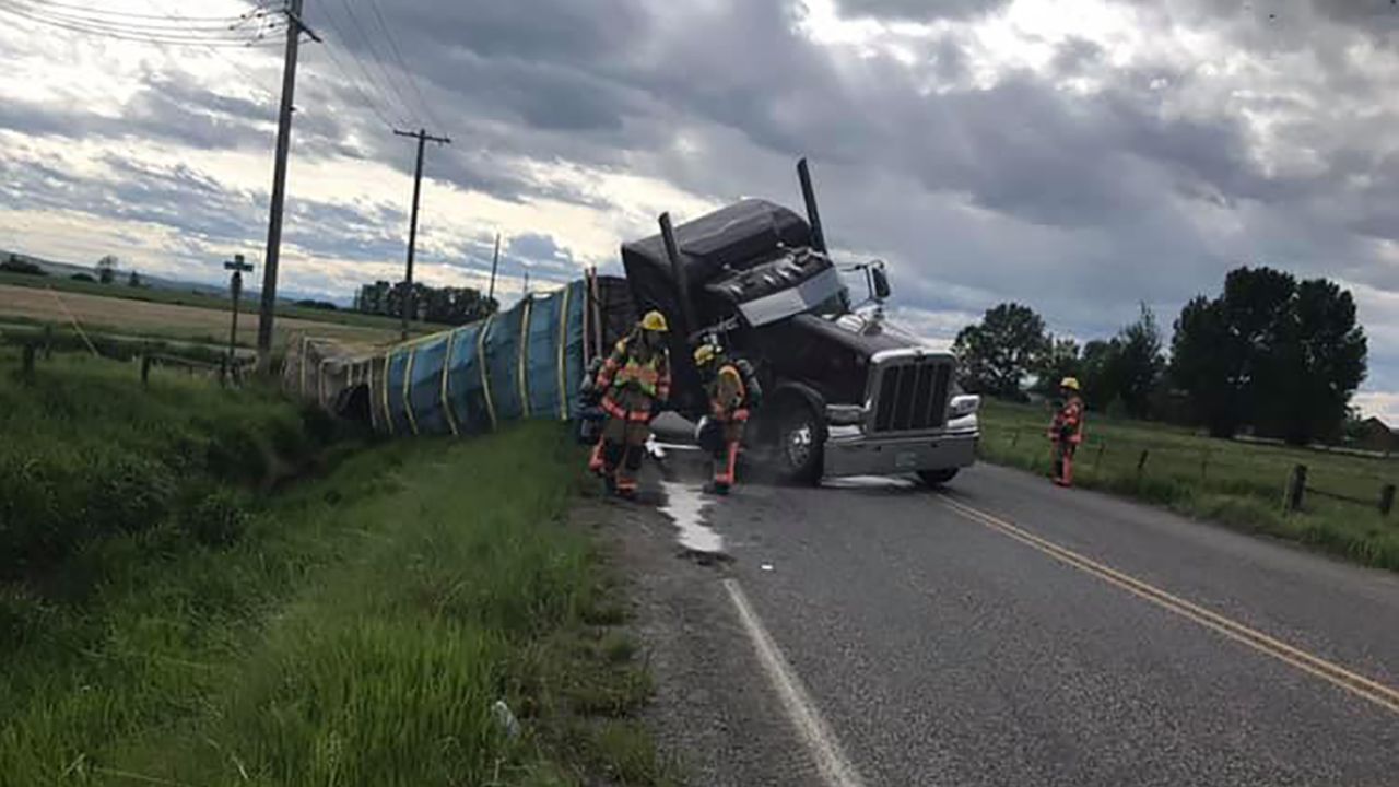 Responders arrived to an unusual accident: a semi-truck crashed, unleashing tons of bees in Montana.