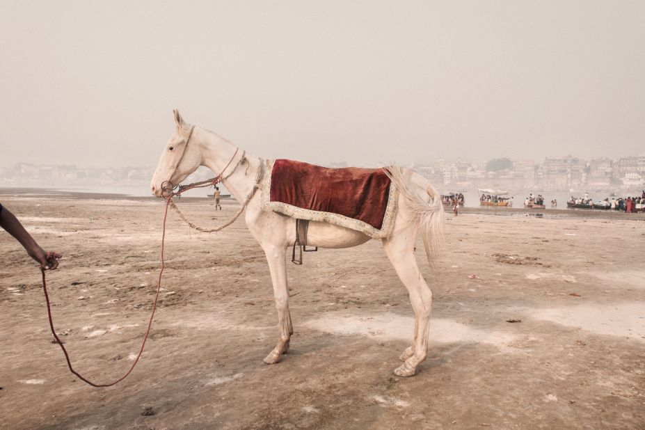 A 2008 image shows a horse on the banks of the Ganges in the holy city of Varanasi.
