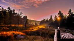 With its sweeping forests and soft-blue mountains, Harz National Park is easily one of the most impressive and diverse nature reserves in Germany. It stretches across Lower Saxony and Saxony-Anhalt, offering lovely moss-covered hikes and terrain ideal for mountain biking for adventurers.