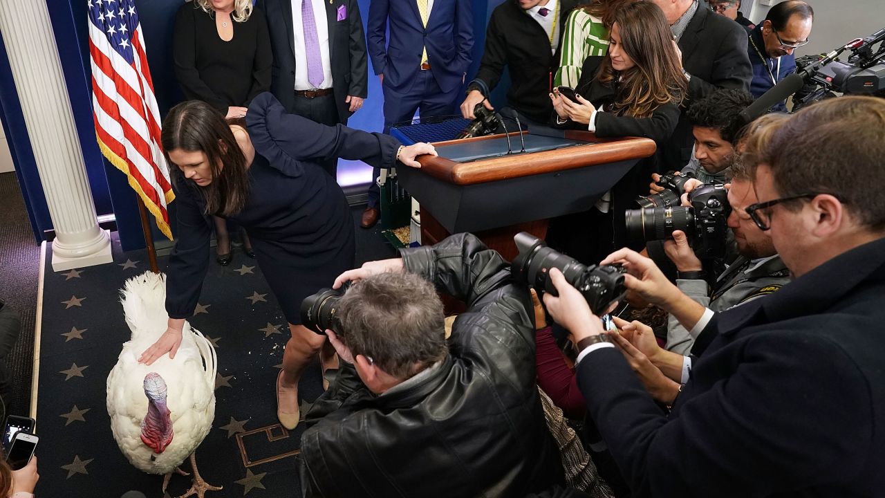 Wishbone the turkey is put on display for members of the news media with Sanders on Tuesday, November 21, 2017 in Washington.